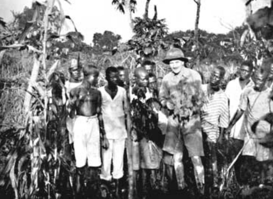 planting trees in corn