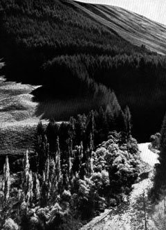 river protection