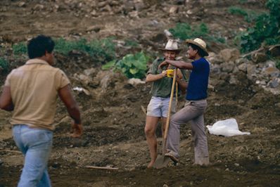 working in the gardens