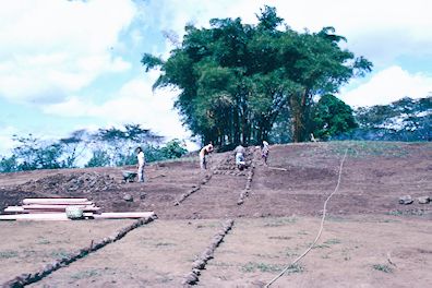 laying out the gardens