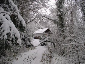 chalet in forest 2011