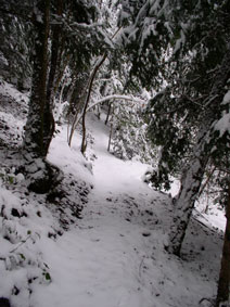 trail