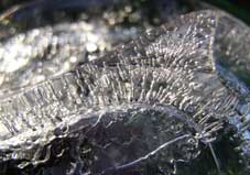 ice wave