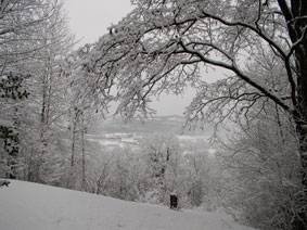 View in Winter Snow