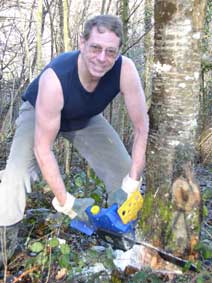 Cutting a tree