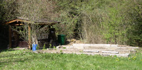 Vegetable garden and woodshed