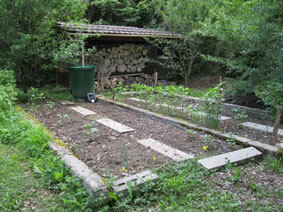 Vegetable garden 2012