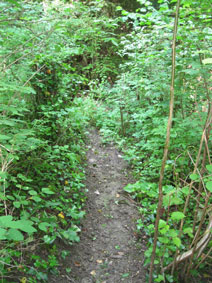 path down to Brameloup