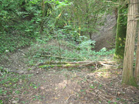 path down
