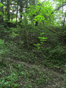side of canyon