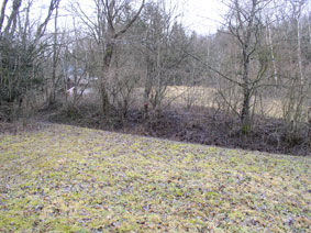 lower meadow