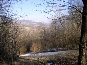 View in winter