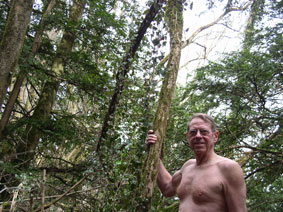 among the trees