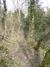 path to Brameloup