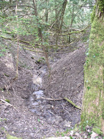 stream