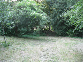 upper meadow