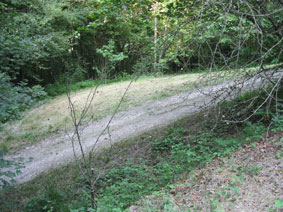 lower meadow from upper