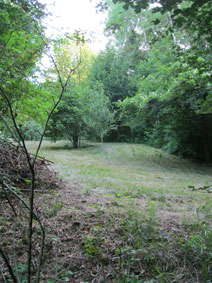 upper meadow from path