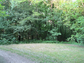 lower meadow