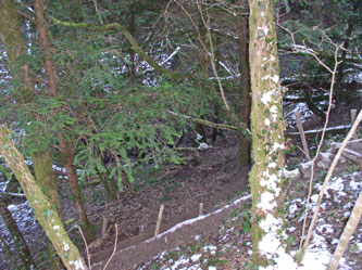 ravine from the trail