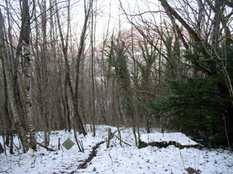 footpath in winter