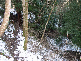 upper trail in ravine
