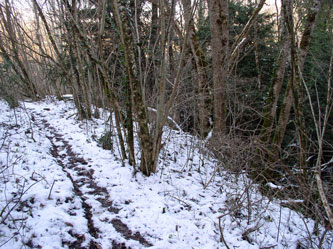 trail in winter