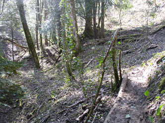 upper ravine