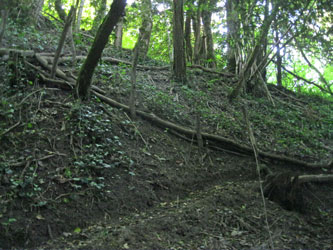 switchbacks