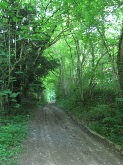 track in front of the chalet