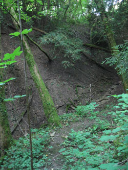 level area