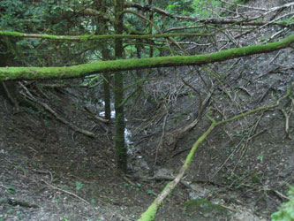 Brameloup stream
