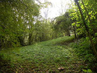 looking up the meadow in fall