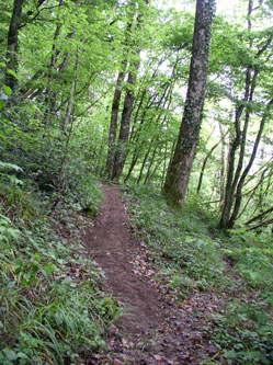 upper trail