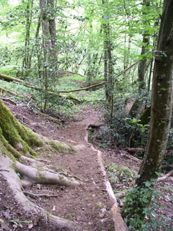 upper trail