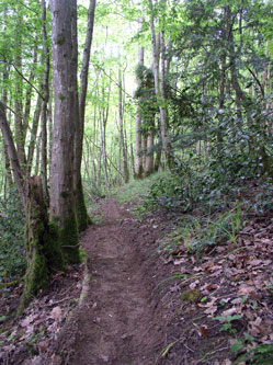 upper trail