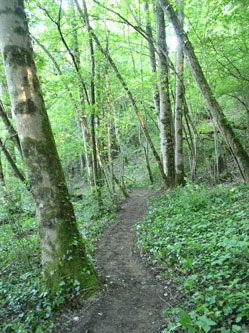 upper trail