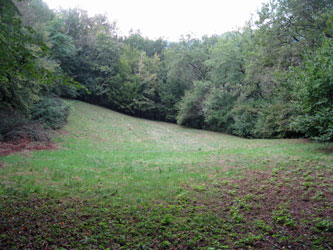 Pasture below my property