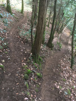 rebuilt upper trail