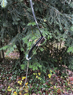 broken end of telephone wire