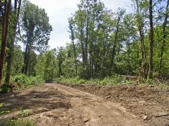 widened road