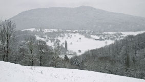 Musieges from Signy winter 2011
