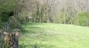 pasture and chalet