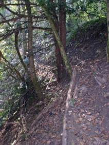 trail and slope