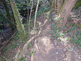 trail under construction
