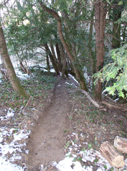 start of new trail