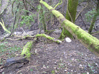 bottom slope before train construction