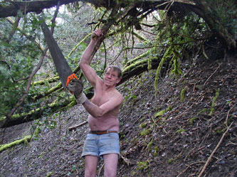 cutting low branches while hanging from the tree