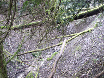 trace for the next section of trail along the slope