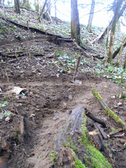 looking up switchbacks 5,4,3,2